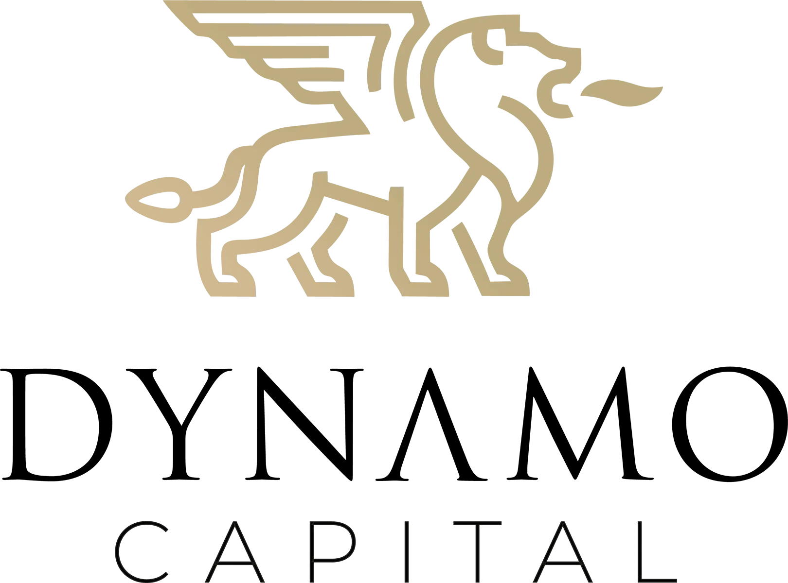 Dynamo Capital Logo